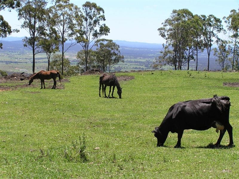 Tamborine Mountain QLD 4272
