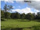 Tamborine Mountain QLD 4272