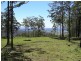 Tamborine Mountain QLD 4272