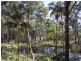 Tamborine Mountain QLD 4272