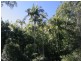 Tamborine Mountain QLD 4272