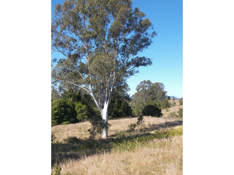 175 Musch Road, Stockleigh QLD 4280