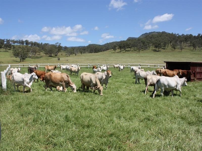 2158 Christmas Creek Road, Beaudesert QLD 4285