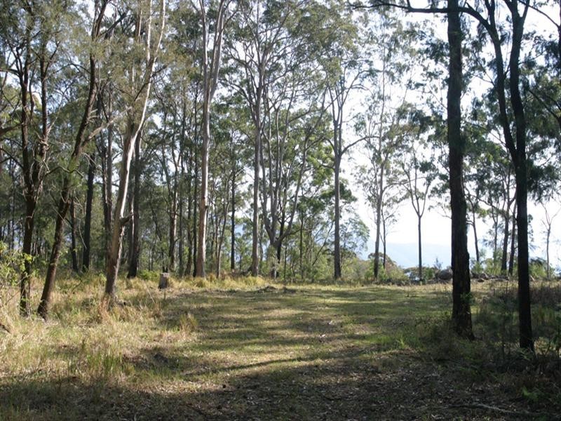 Tamborine Mountain QLD 4272