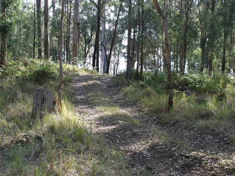 Tamborine Mountain QLD 4272