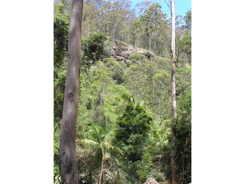 Tamborine Mountain QLD 4272