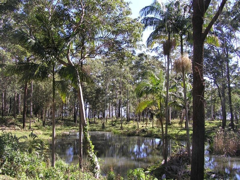 Tamborine Mountain QLD 4272