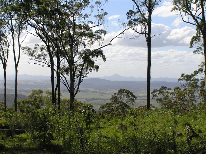 Tamborine Mountain QLD 4272