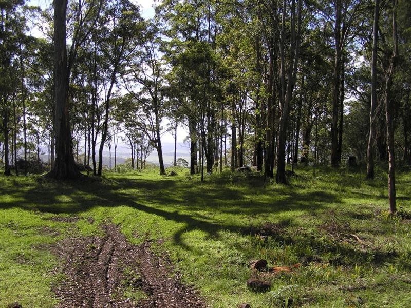 Tamborine Mountain QLD 4272