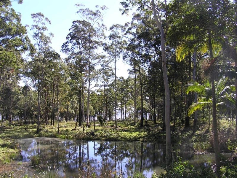 Tamborine Mountain QLD 4272
