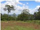 Tamborine Mountain QLD 4272