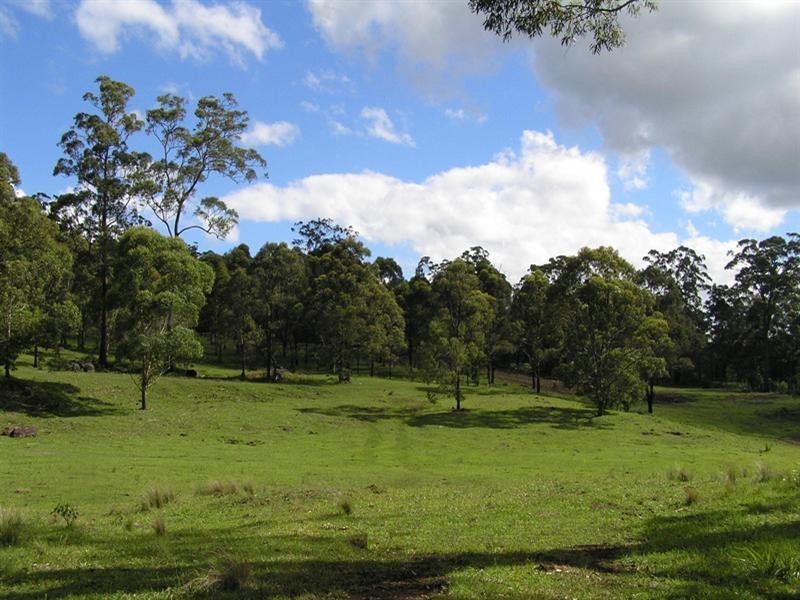 Tamborine Mountain QLD 4272