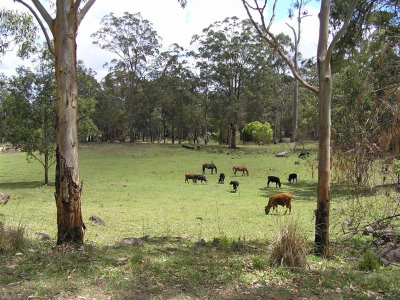 Tamborine Mountain QLD 4272