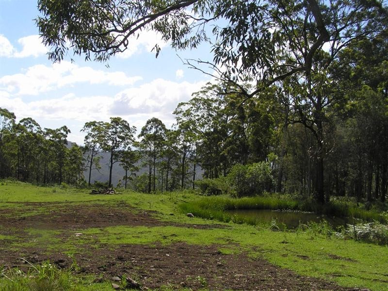 Tamborine Mountain QLD 4272