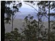 Tamborine Mountain QLD 4272