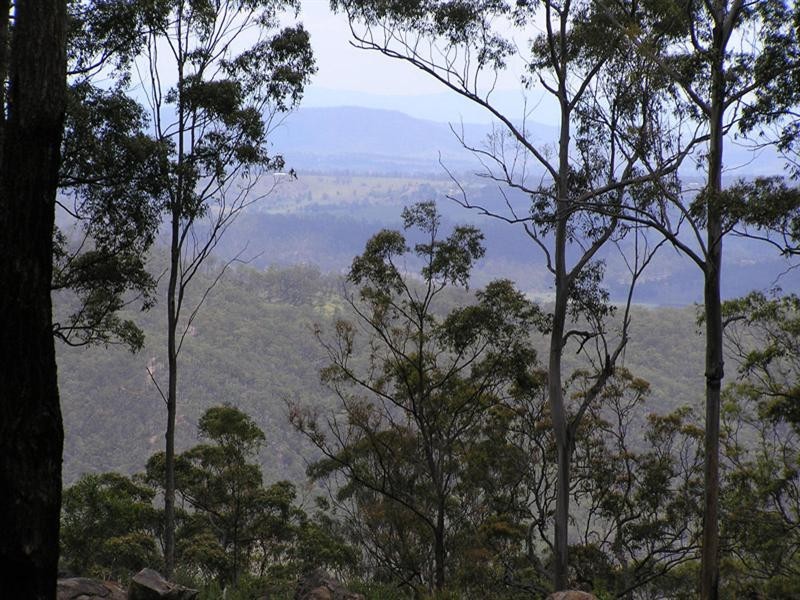 Tamborine Mountain QLD 4272