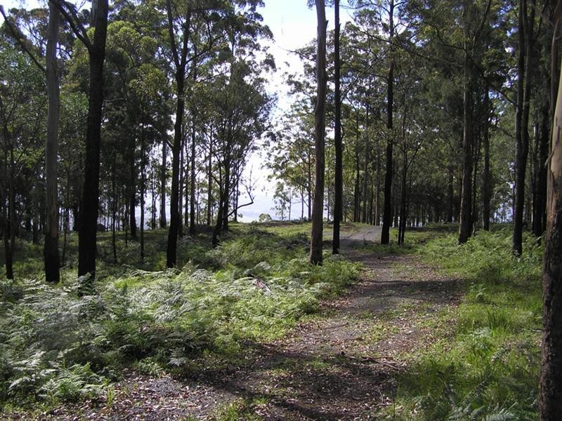 Tamborine Mountain QLD 4272