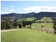 Numinbah Valley QLD 4211