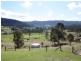 Numinbah Valley QLD 4211