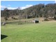 Numinbah Valley QLD 4211