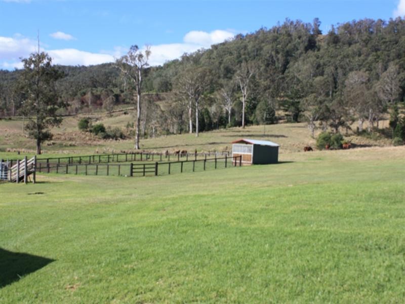 Numinbah Valley QLD 4211