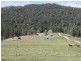 Numinbah Valley QLD 4211