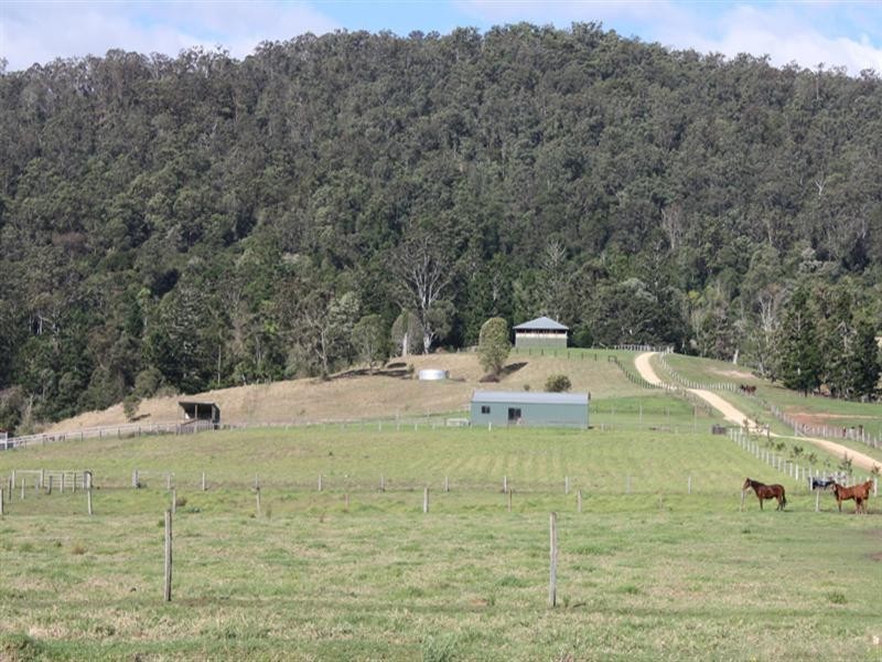 Numinbah Valley QLD 4211
