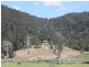 Numinbah Valley QLD 4211