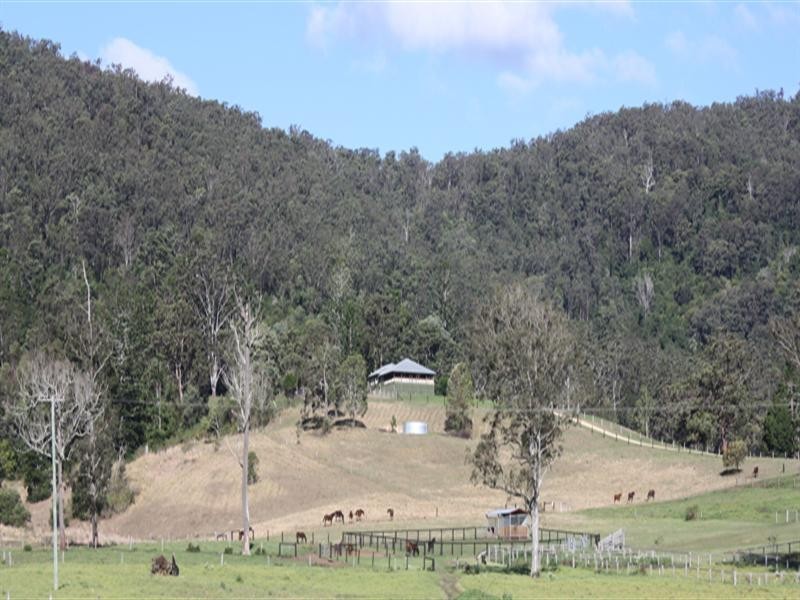 Numinbah Valley QLD 4211