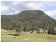 Numinbah Valley QLD 4211
