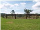 Numinbah Valley QLD 4211