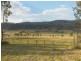 114 Widgee Creek Road Hillview Via, Beaudesert QLD 4285