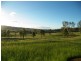 114 Widgee Creek Road Hillview Via, Beaudesert QLD 4285