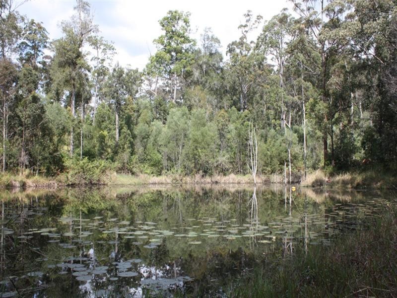 1 Tucker Lane, Canungra QLD 4275