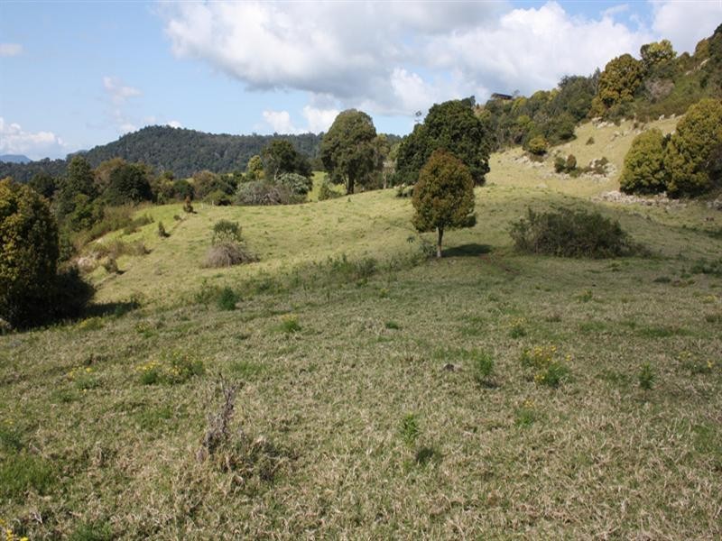 85 Binna Burra Road, Beechmont QLD 4211