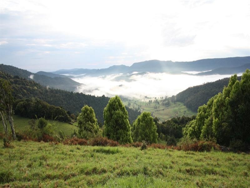 85 Binna Burra Road, Beechmont QLD 4211