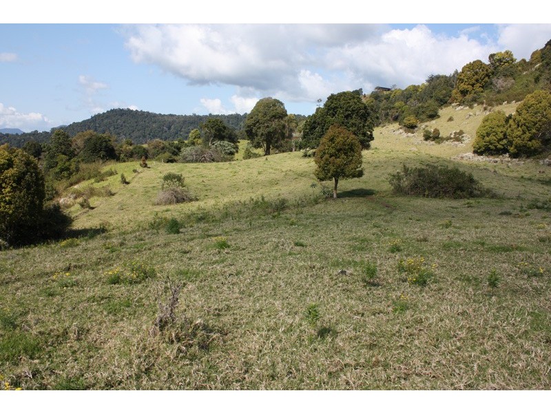 85 Binna Burra Road, Beechmont QLD 4211