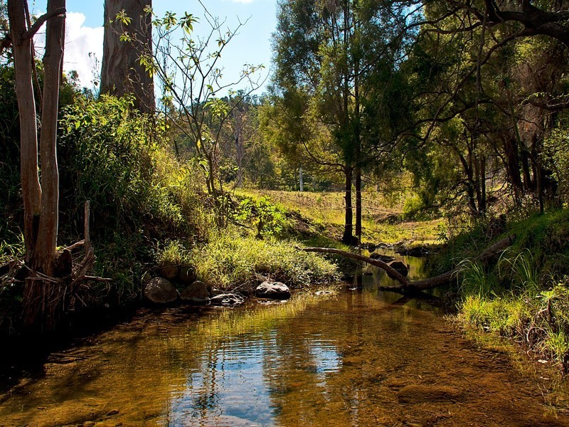 176 Spring Creek Road, Running Creek QLD 4287
