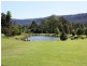 2448 Beaudesert – Nerang Road, Canungra QLD 4275
