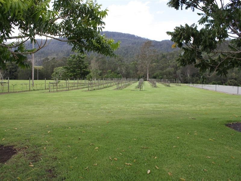 Canungra QLD 4275