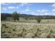 1899 Christmas Creek Road, Beaudesert QLD 4285