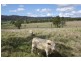 1899 Christmas Creek Road, Beaudesert QLD 4285