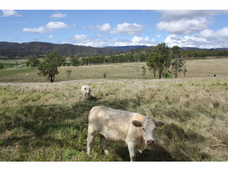 1899 Christmas Creek Road, Beaudesert QLD 4285