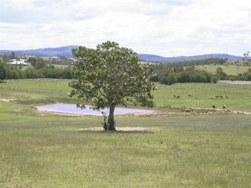 196 Biddaddaba Road, Boyland QLD 4275