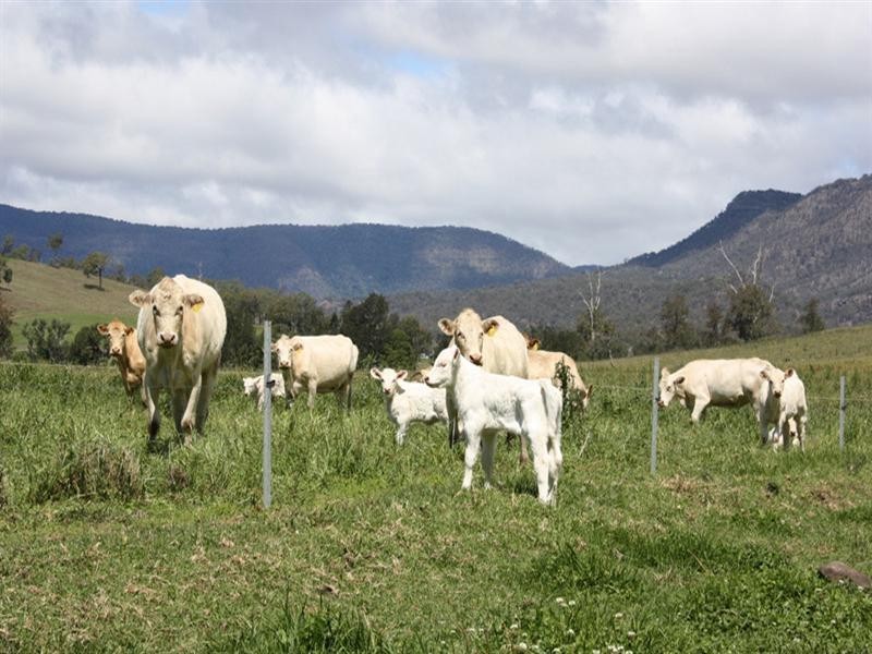 56 Haack Road, Beaudesert QLD 4285