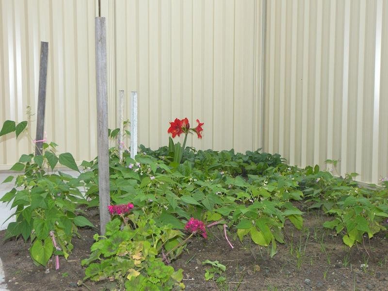 56-58 Meridian Way, Beaudesert QLD 4285