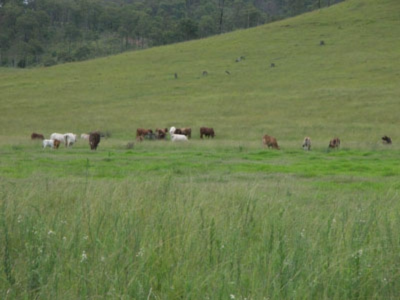 60 Ward Road, Palen Creek Via, Rathdowney QLD 4287