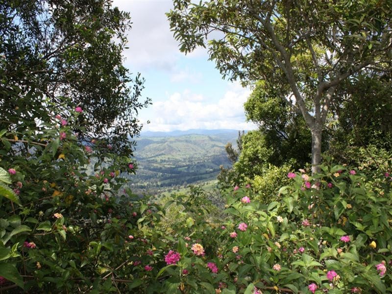 Lot 49 Darlington Range Road, Canungra QLD 4275
