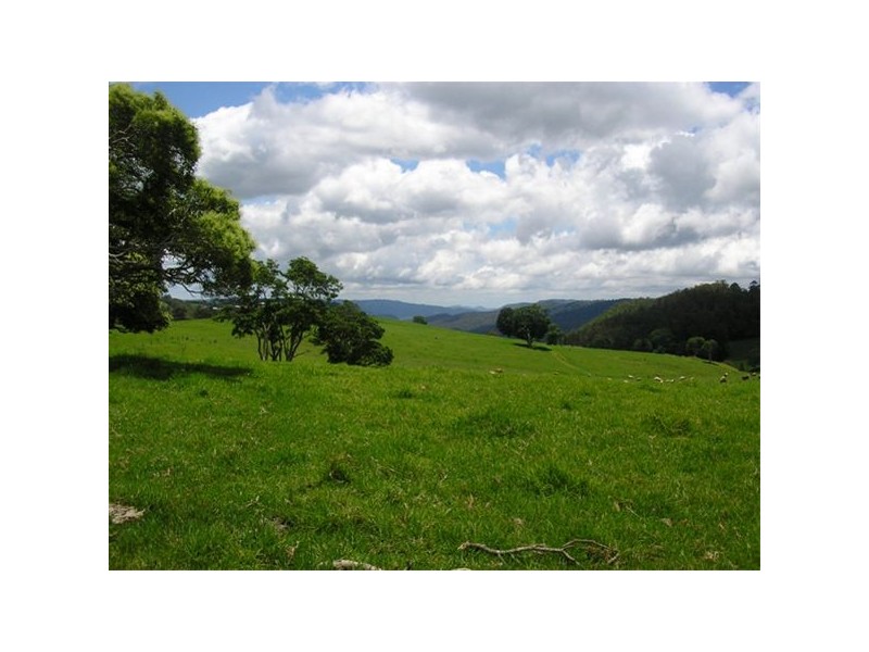 1698 Beechmont Road, Beechmont QLD 4211