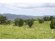 1698 Beechmont Road, Beechmont QLD 4211
